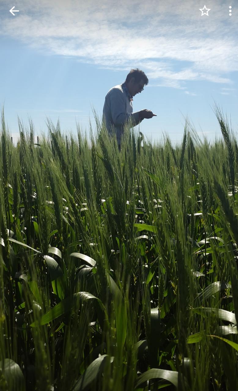Trabajos de campo